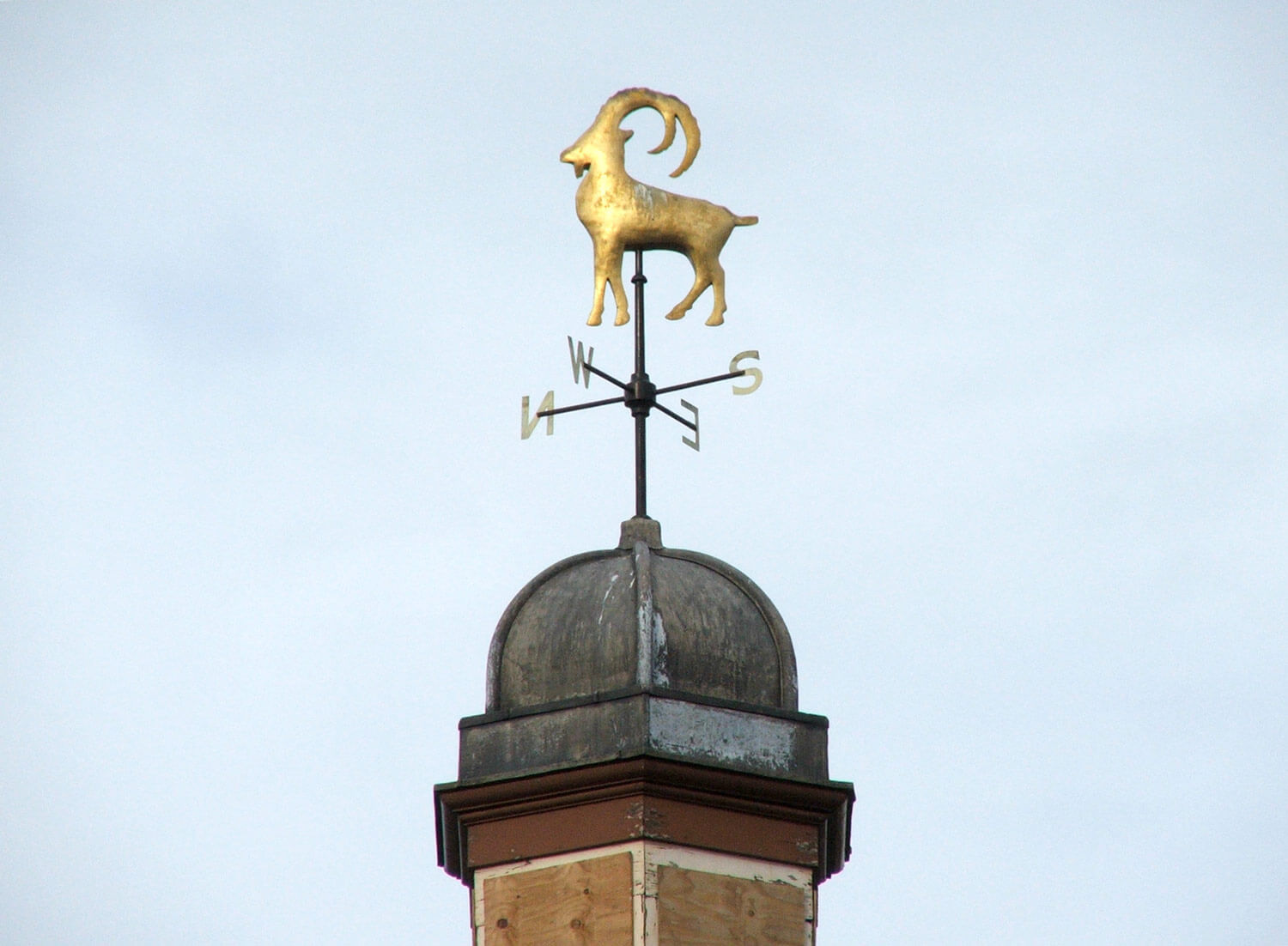 The Ibex weathervane on the roof of Friars Mill -