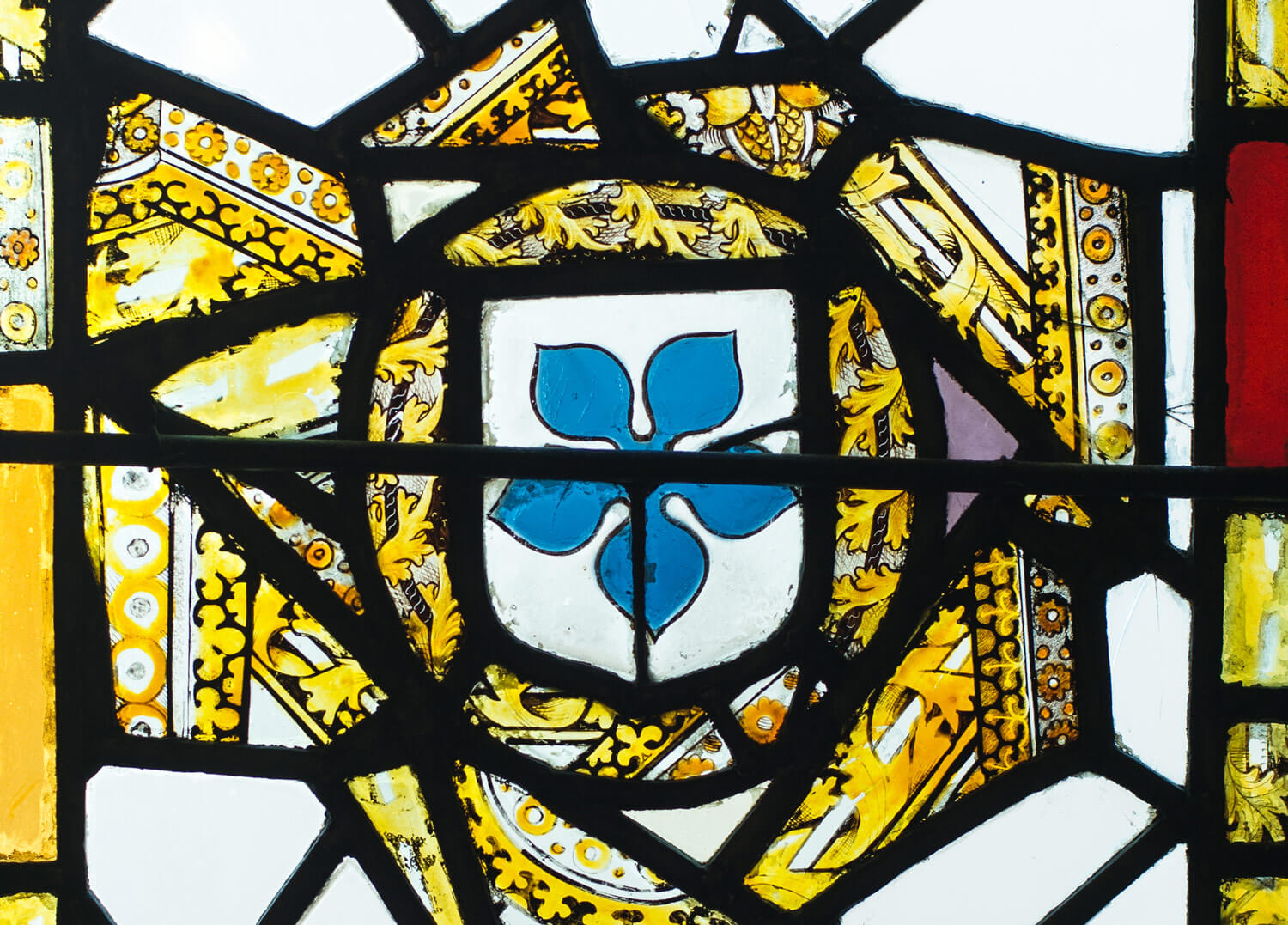 Painted glass on display at Leicester Guildhall -