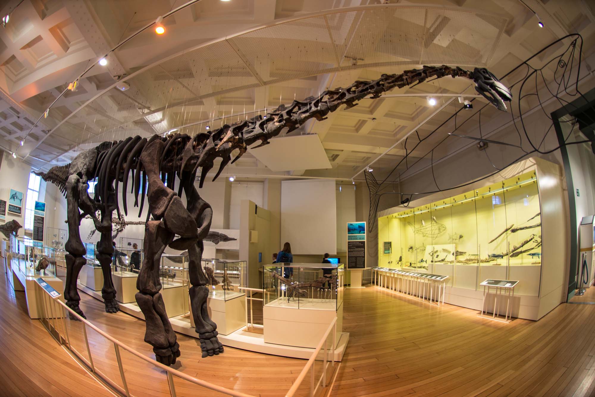 The Dinosaur Gallery as it looks today -