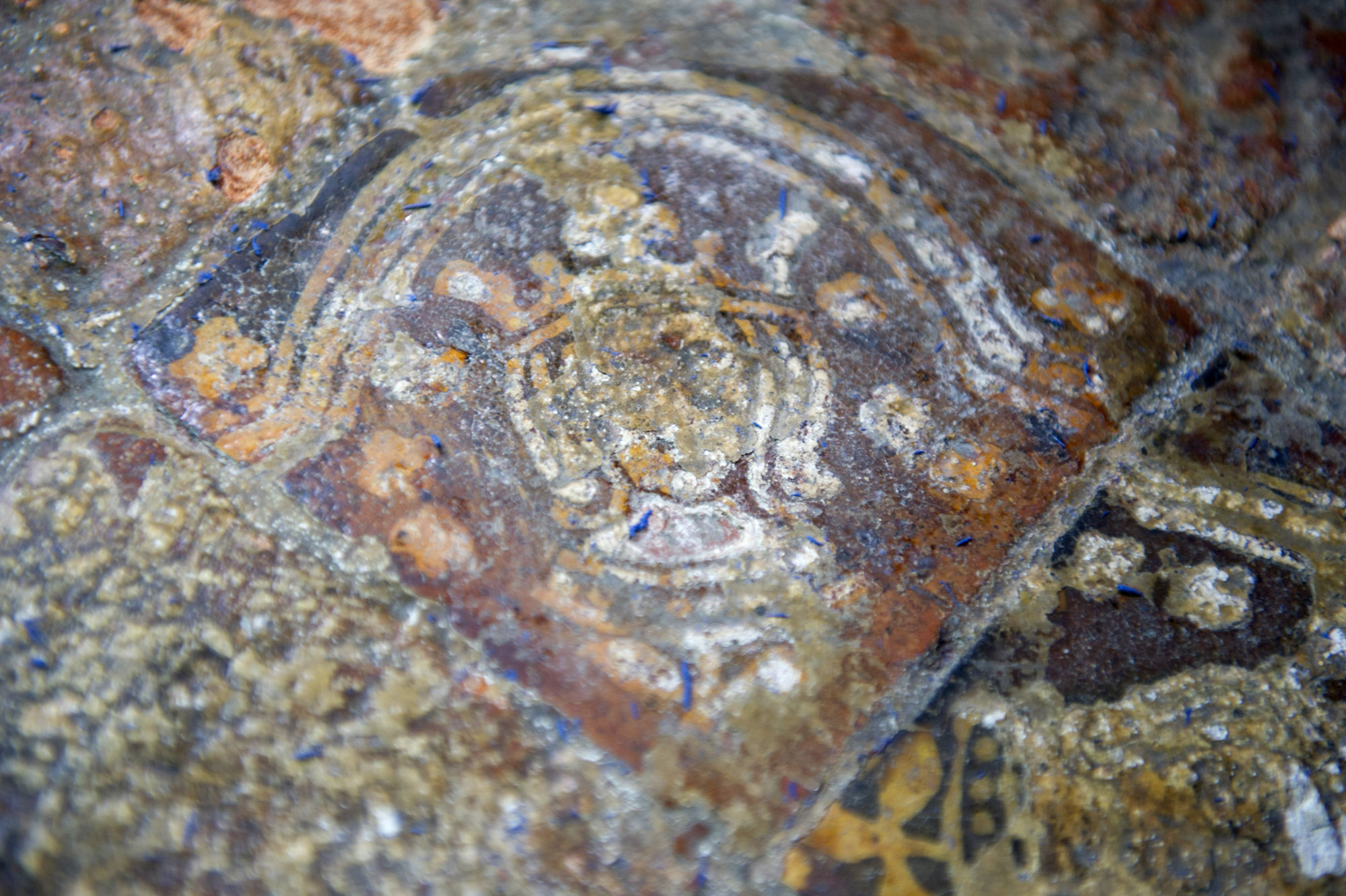 Medieval floor tile inside Trinity Chapel - Redpix Photography