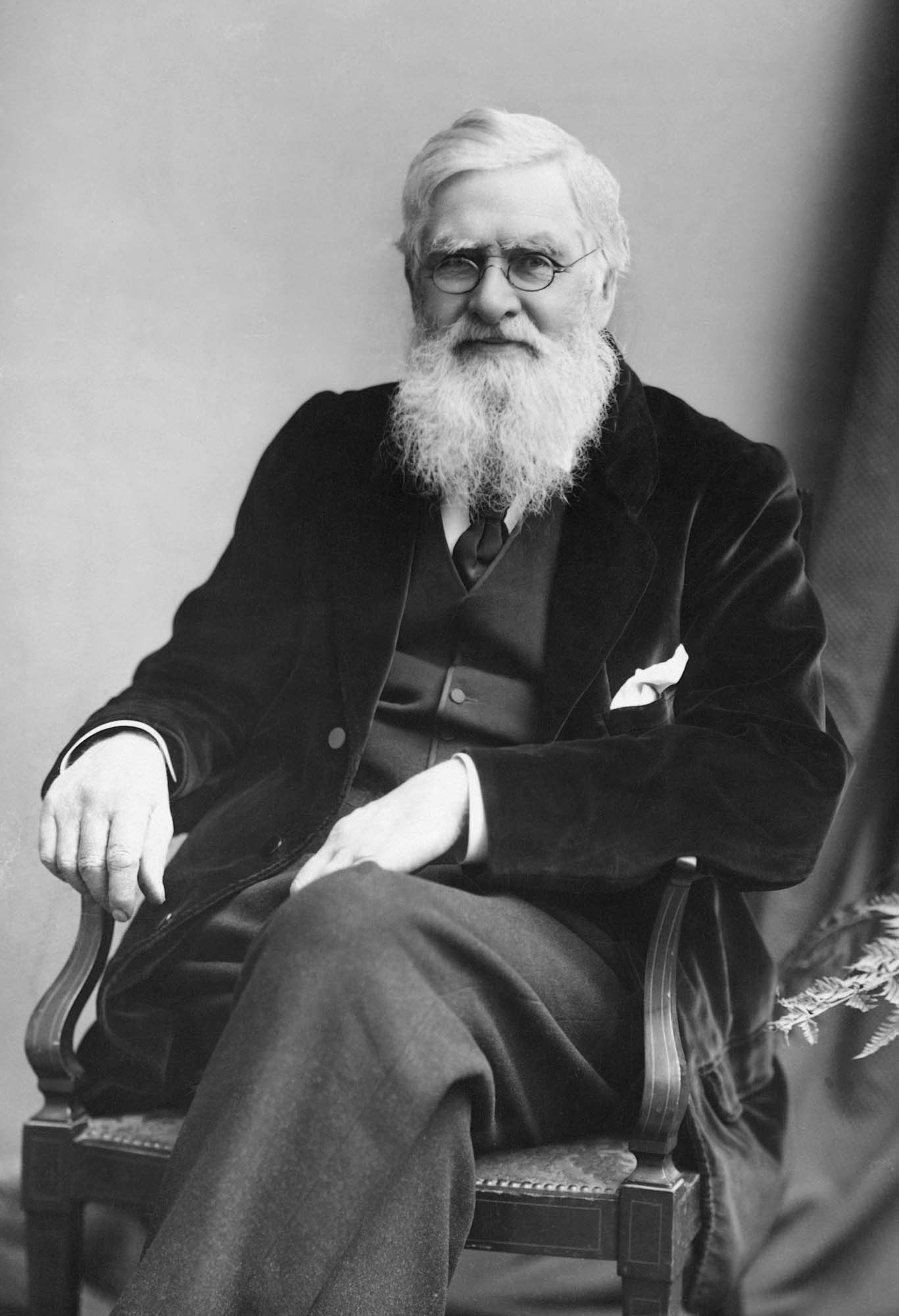 Alfred Russel Wallace circa 1895 - London Stereoscopic & Photographic Company