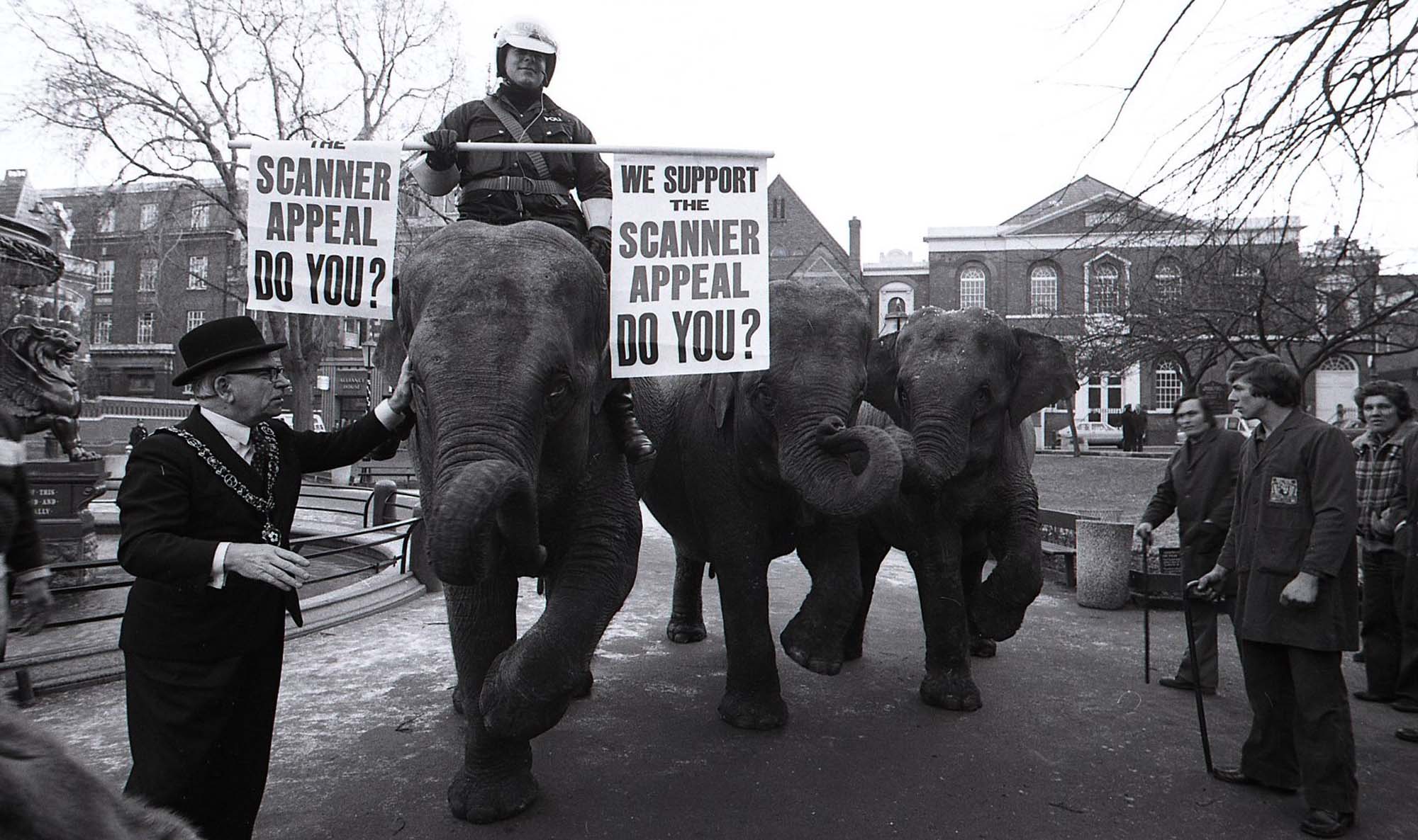A scanner appeal in 1979 featured elephants walking through Town Hall Square. On the left is Lord Mayor Albert Sylvester Watson - 